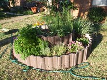 The following summer after lots of rain